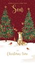 Fox Son Christmas Card