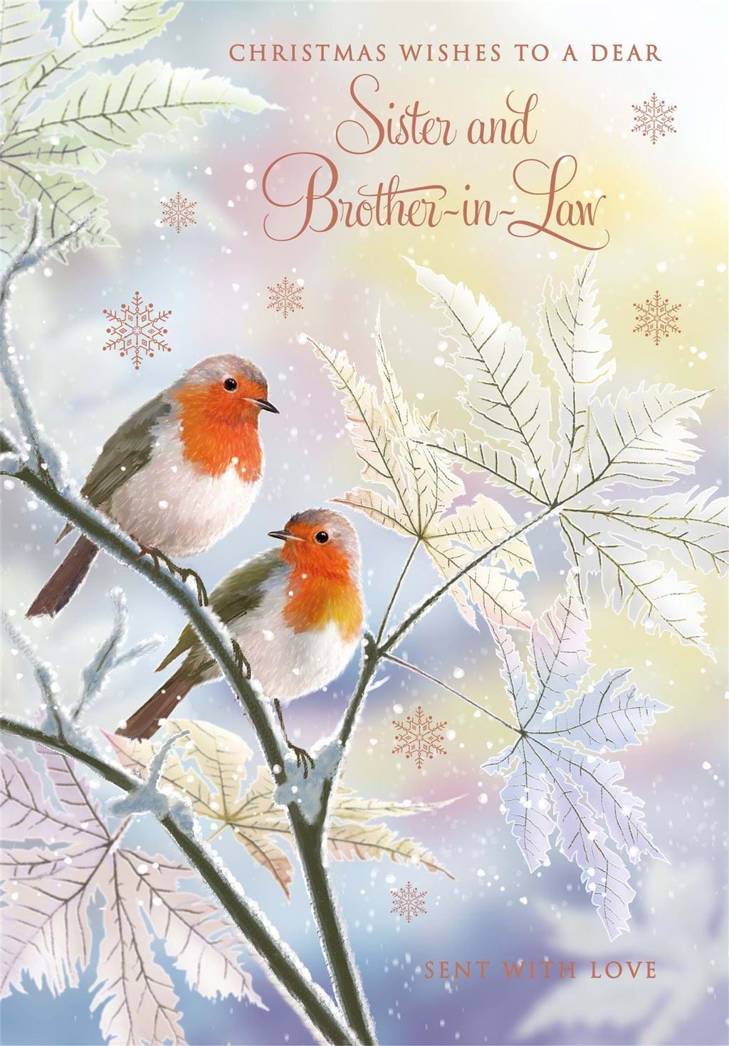 Robins Sister & Brother-in-law Christmas Card