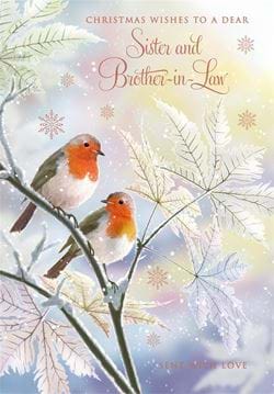 Robins Sister & Brother-in-law Christmas Card