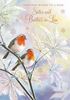 Robins Sister & Brother-in-law Christmas Card