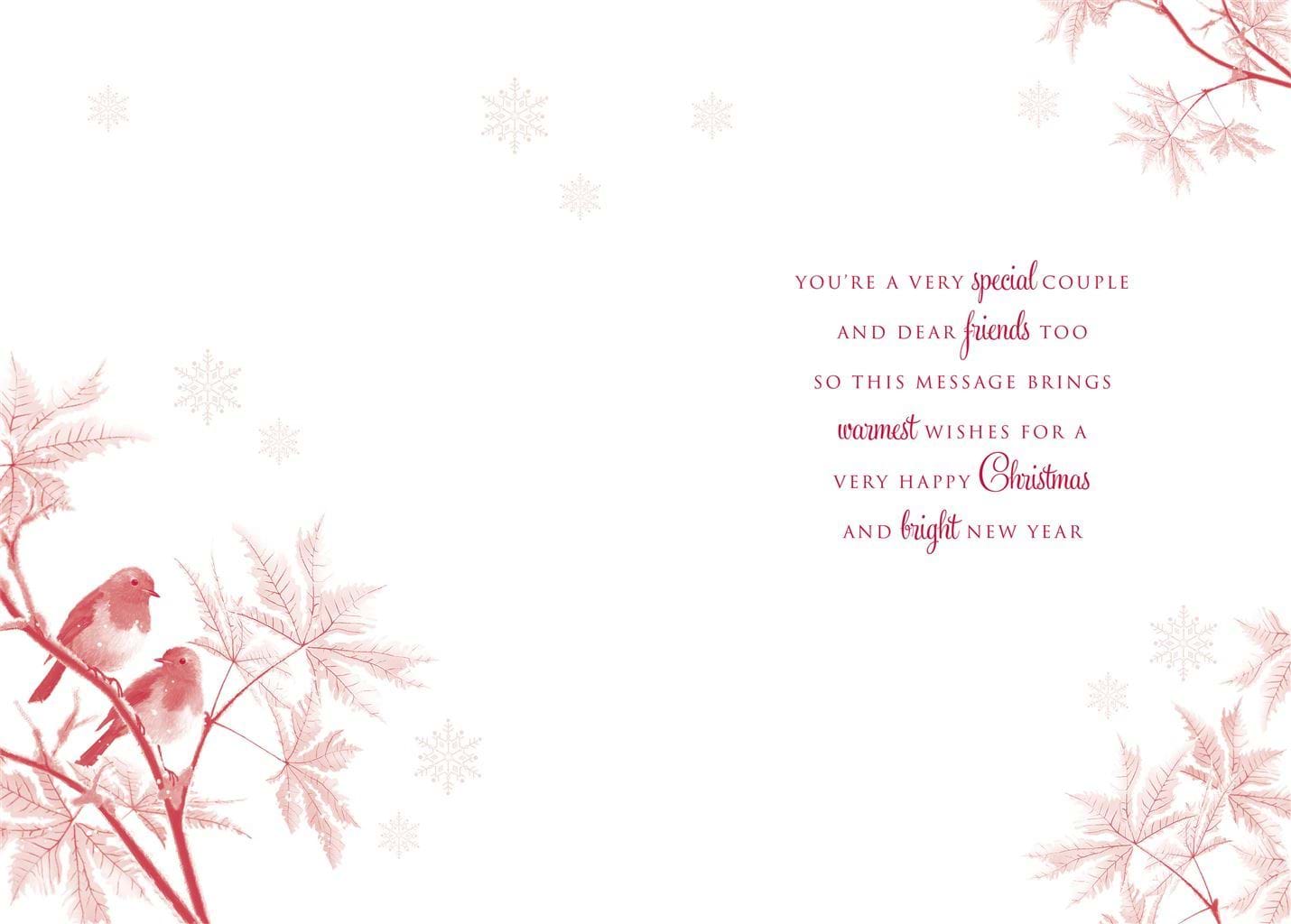 Robins Sister & Brother-in-law Christmas Card