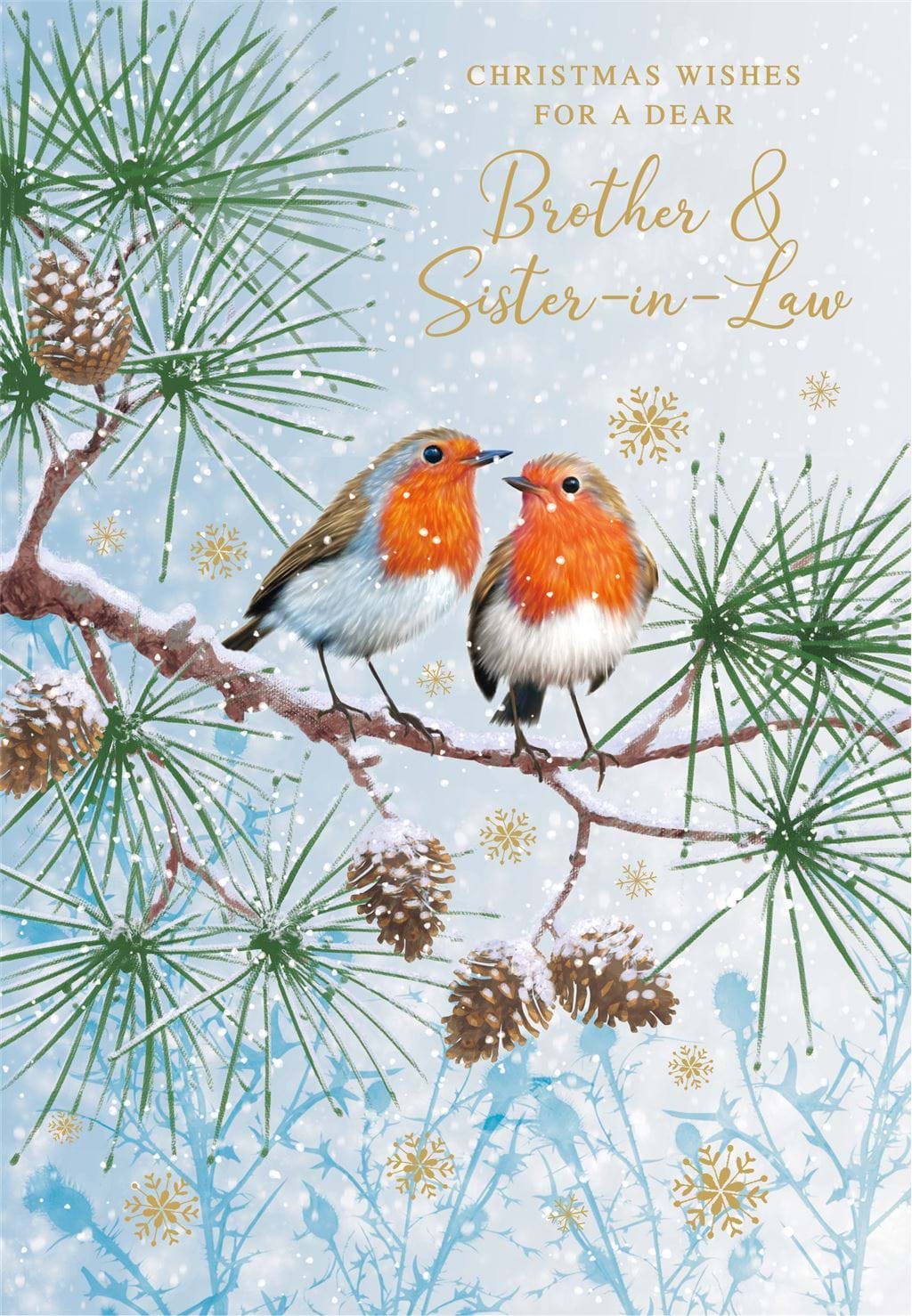 Robins Brother & Sister-in-law Christmas Card