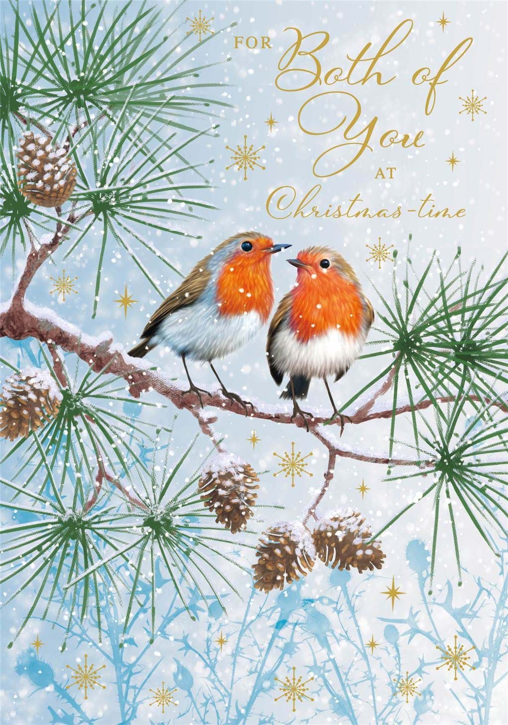 Robins Both Of You Christmas Card