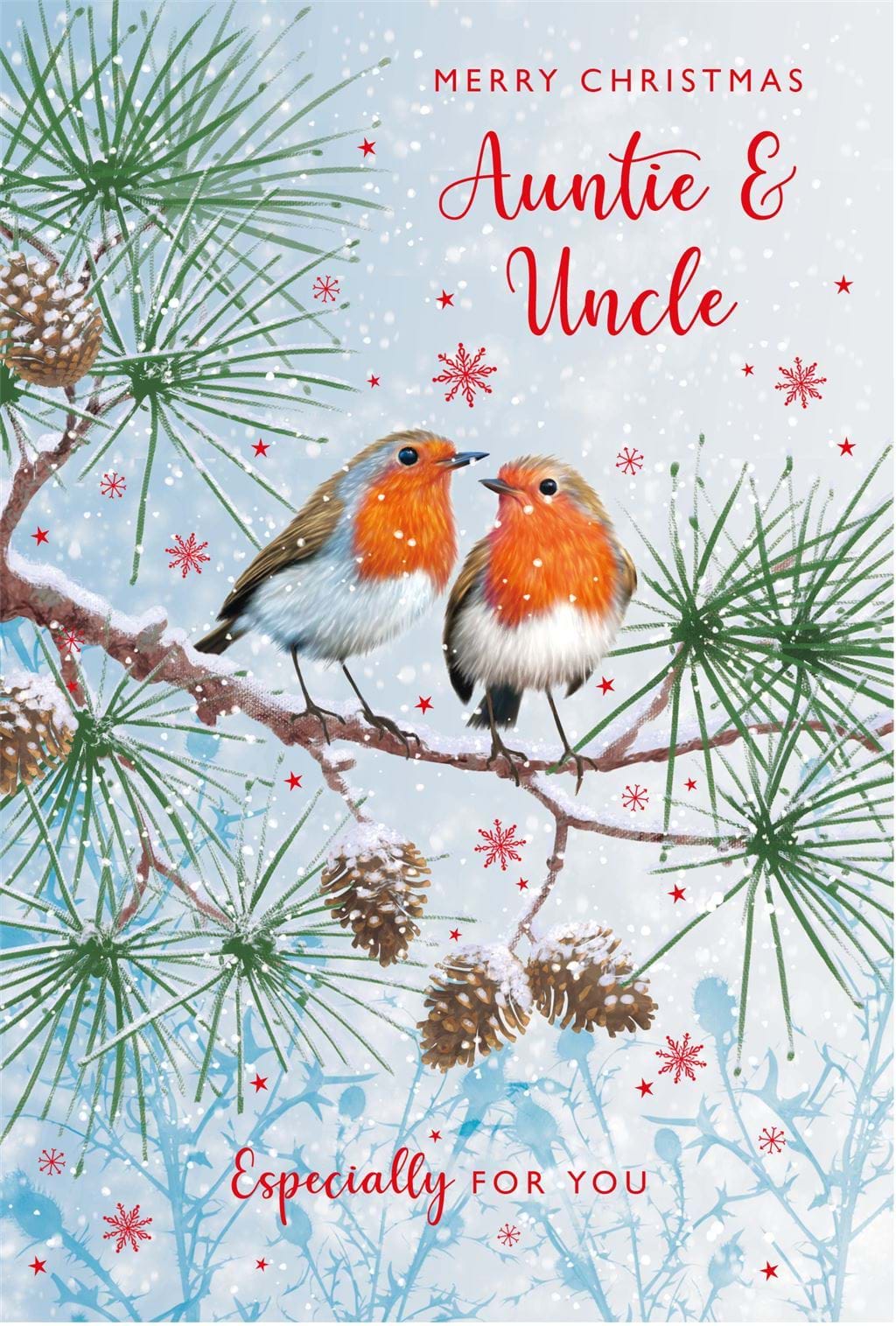 Robins Auntie & Uncle Christmas Card