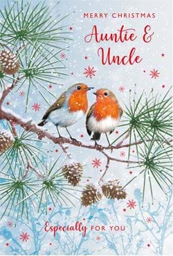 Robins Auntie & Uncle Christmas Card