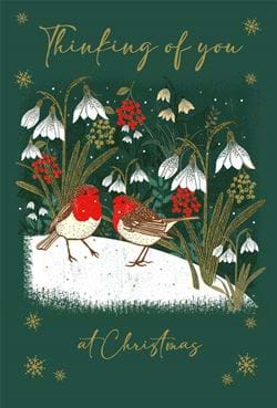 Snowdrop Robins Thinking of You Christmas Card