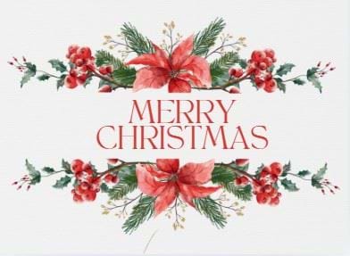 Poinsettia - Personalised Christmas Card