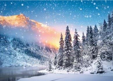 Snowy Forest - Personalised Christmas Card