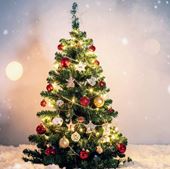 Classic Evergreen - Personalised Christmas Card