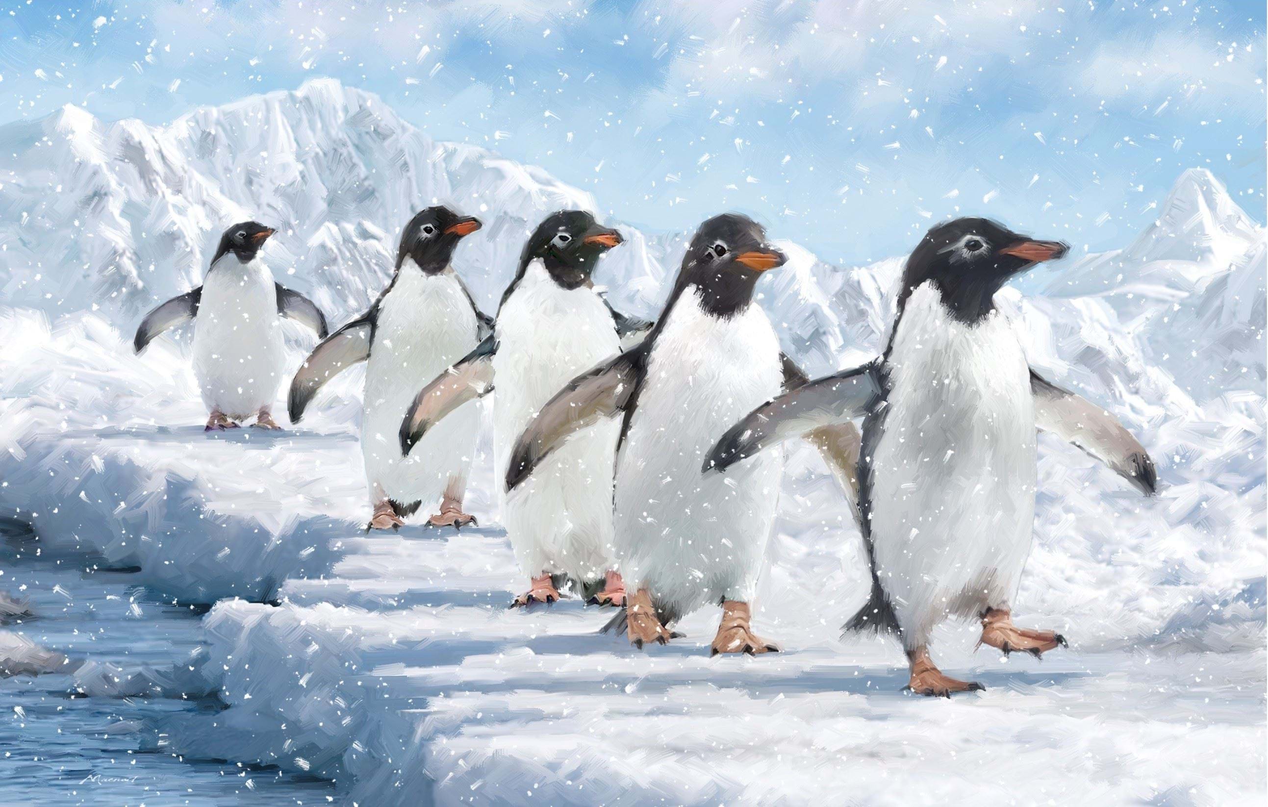 Follow the Leader - Personalised Christmas Card