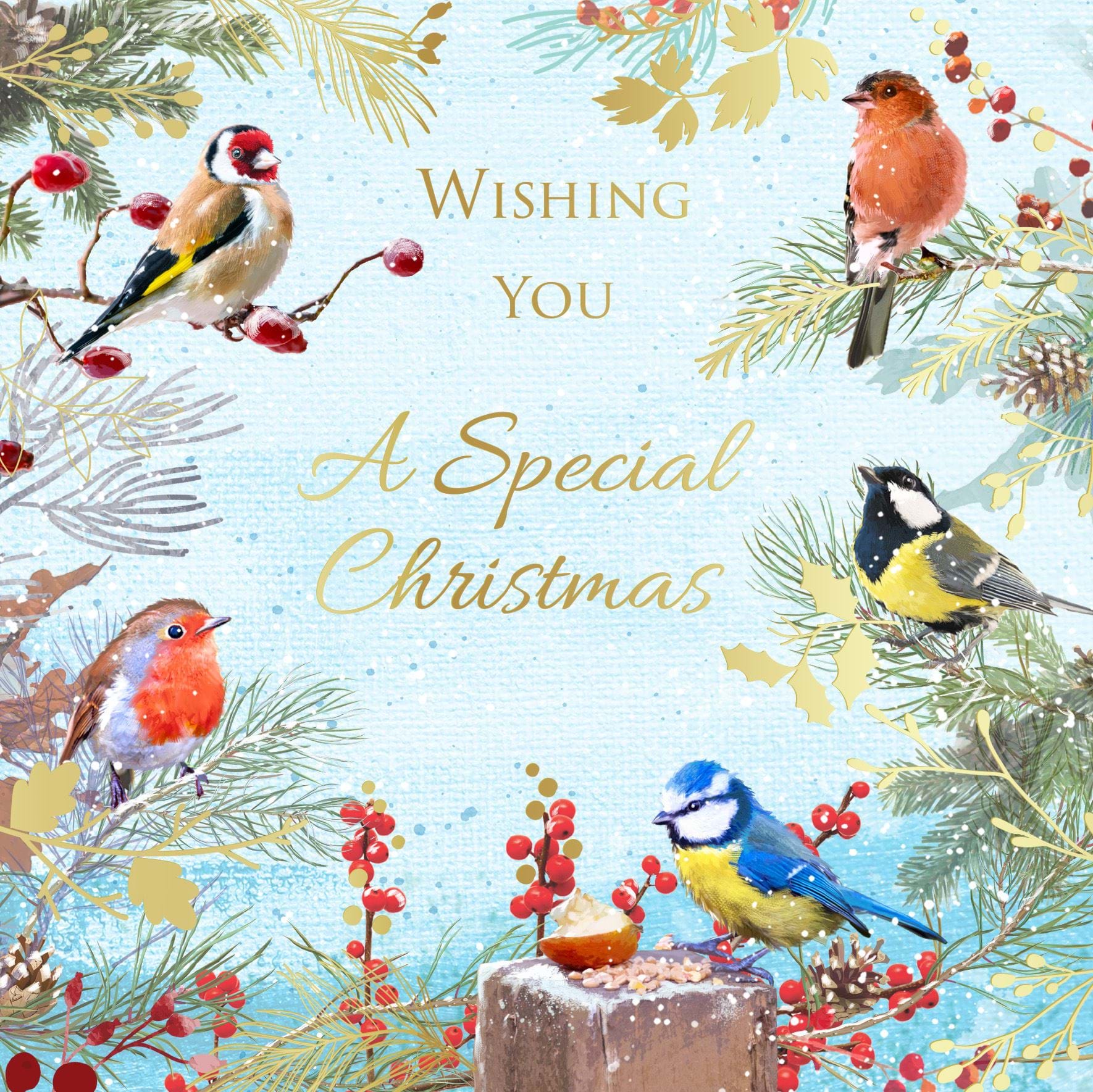 Birds Gathering - Personalised Christmas Card