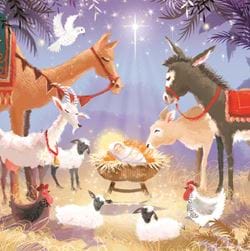 Animal Nativity - Personalised Christmas Card
