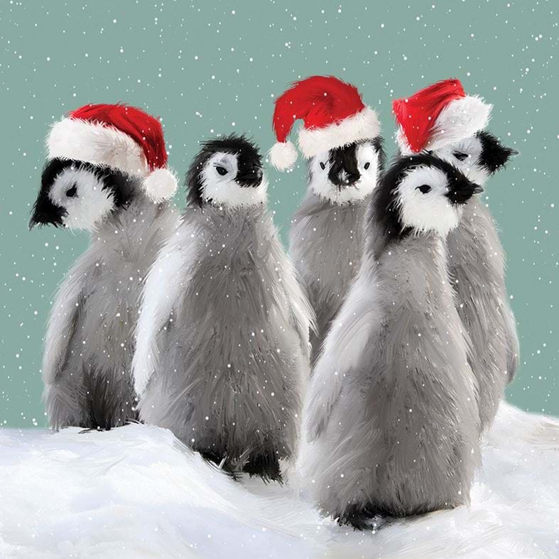 Waddle - Personalised Christmas Card