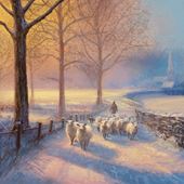 Sheep Walk - Personalised Christmas Card
