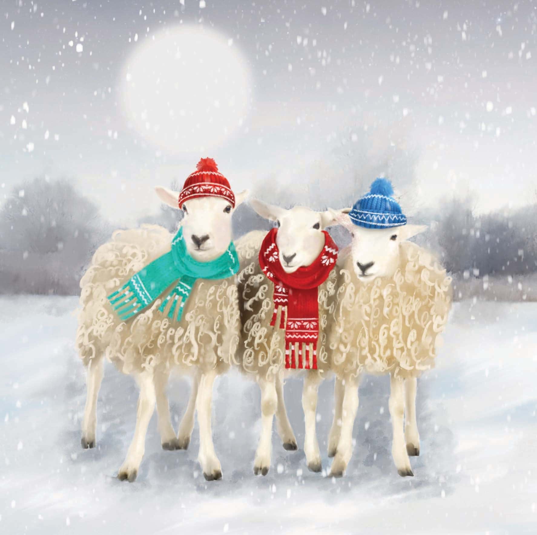Baaaa Christmas - Personalised Christmas Card