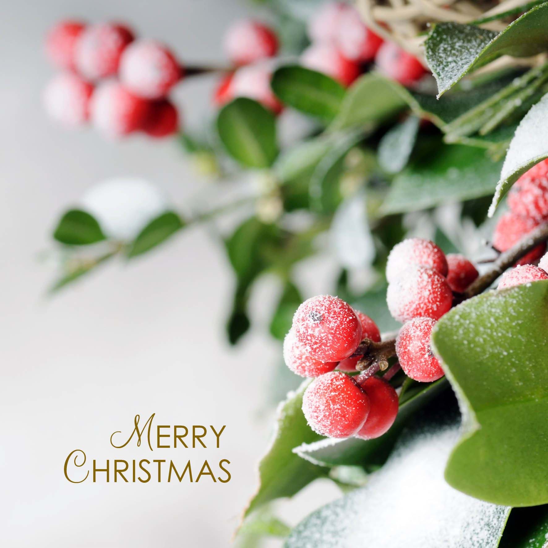 Frozen Berries - Personalised Christmas Card