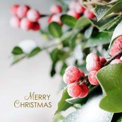 Frozen Berries - Personalised Christmas Card