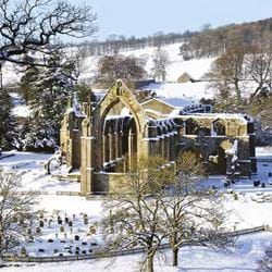 Bolton Abbey - Personalised Christmas Card