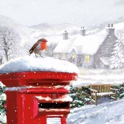Robin on a Postbox - Personalised Christmas Card