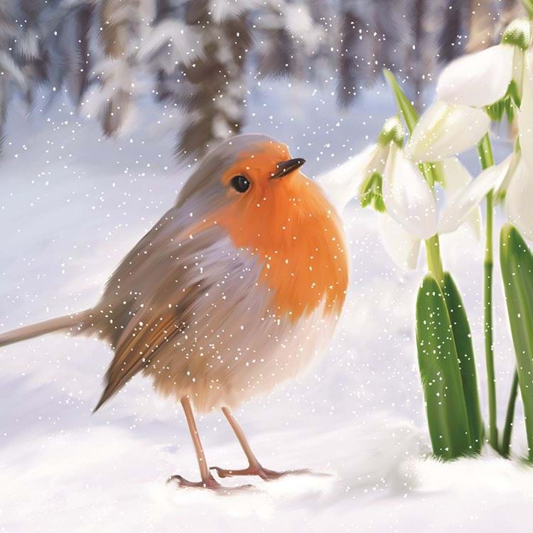 Snowdrops Robin - Personalised Christmas Card