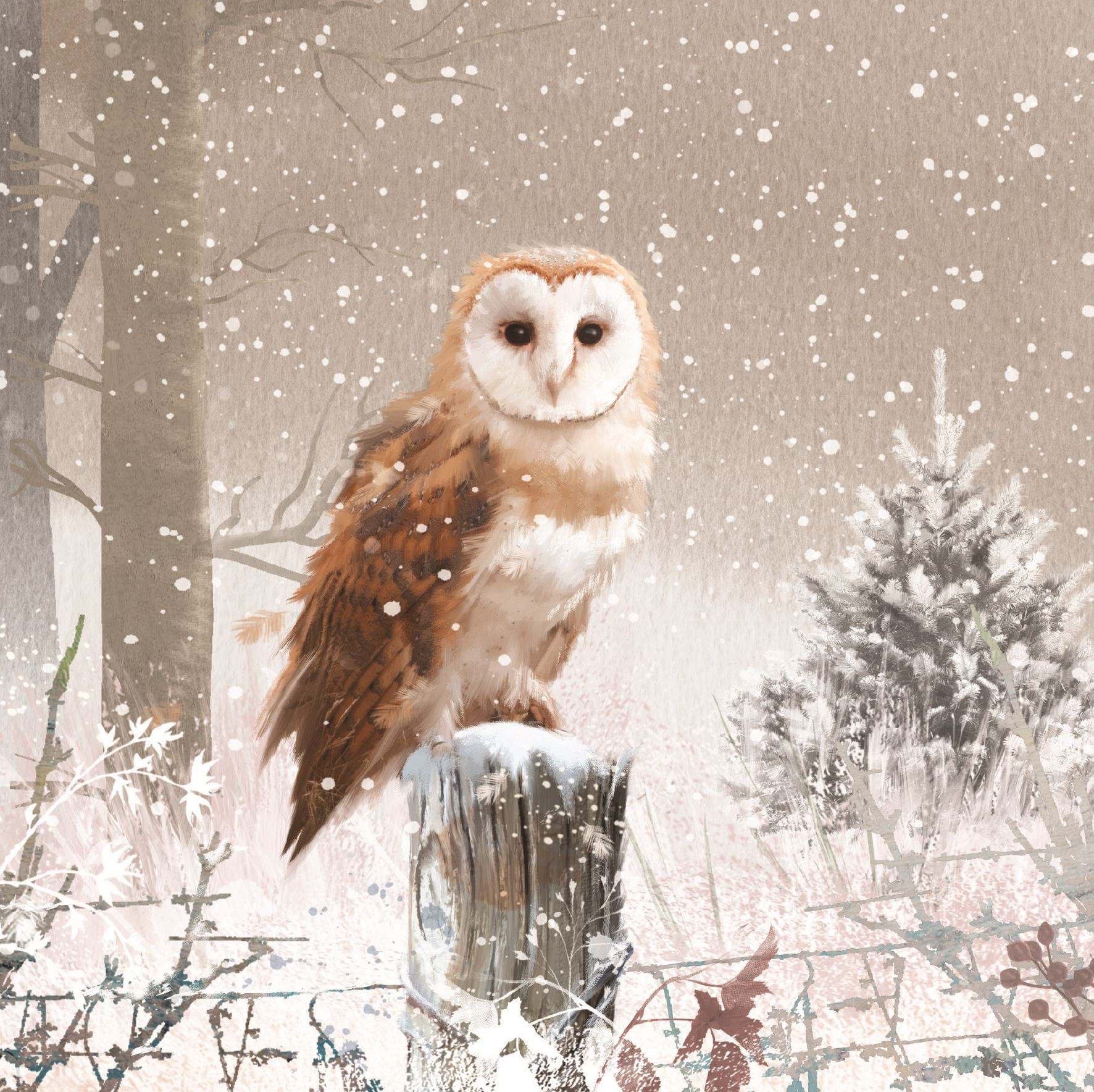 Winter Barn Owl - Personalised Christmas Card