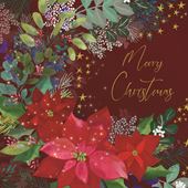 Winter Poinsettia Stars - Personalised Christmas Card