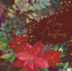 Winter Poinsettia Stars - Personalised Christmas Card