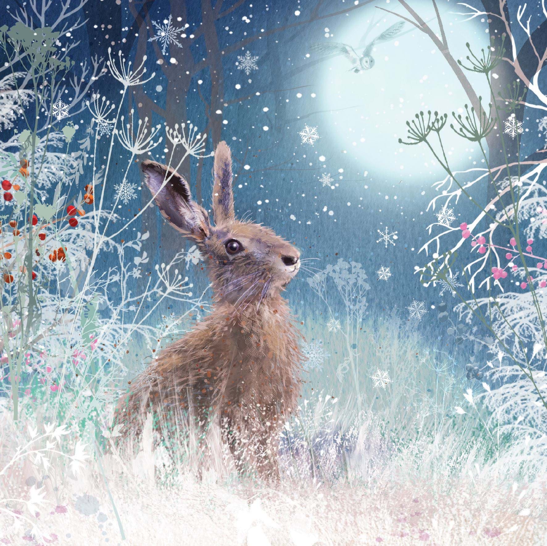 Midnight Hare - Personalised Christmas Card