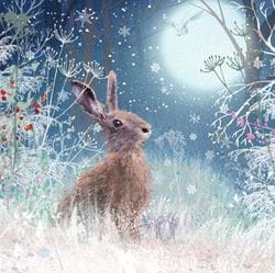 Midnight Hare - Personalised Christmas Card