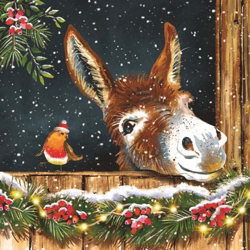 A Donkey's Christmas Wonder - Personalised Christmas Card