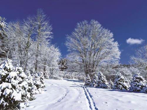 A Winter's Day - Personalised Christmas Card
