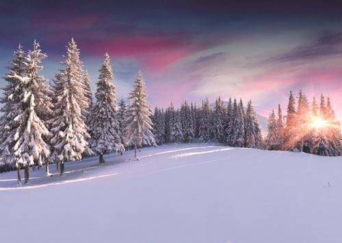 An Aurora Night Sky - Personalised Christmas Card