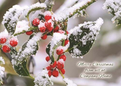 Festive Berries - Front Personalised Christmas Card