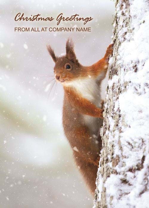 Playful Squirrel - Front Personalised Christmas Card