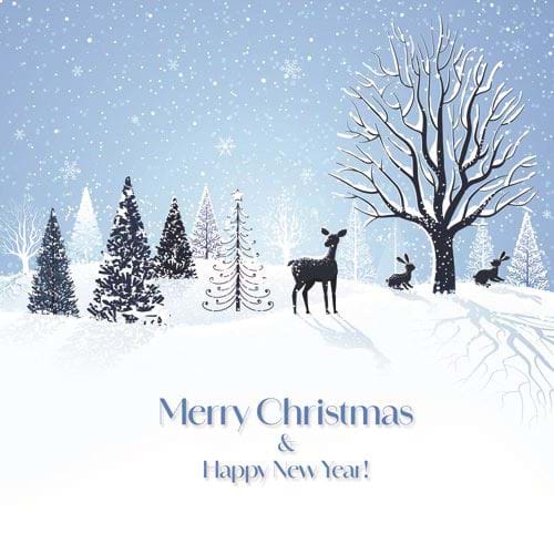 Silent Night - Personalised Christmas Card