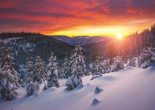 Sunset through the Trees - Personalised Christmas Card