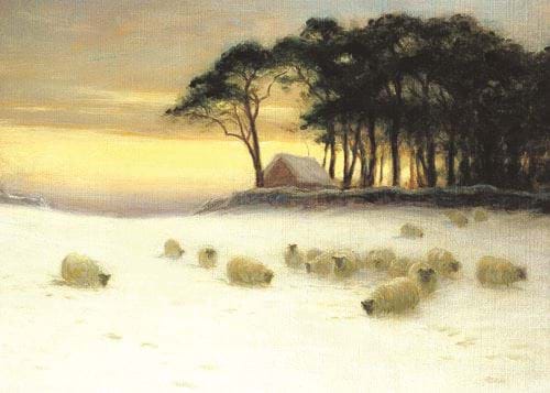 Winter Glow - Personalised Christmas Card