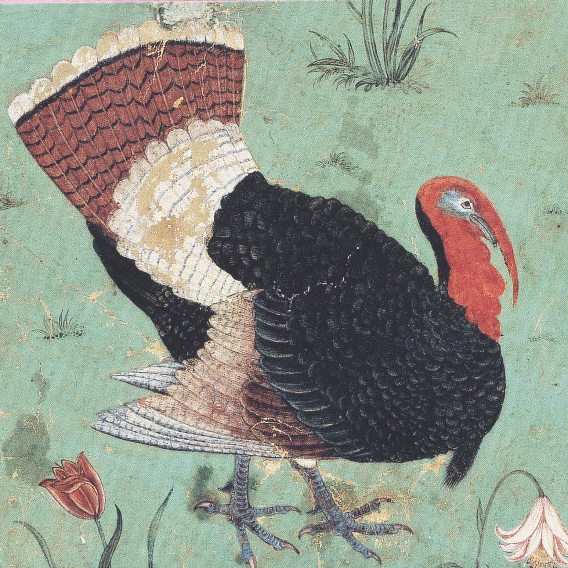 Turkey Christmas Cards - Pack of 10