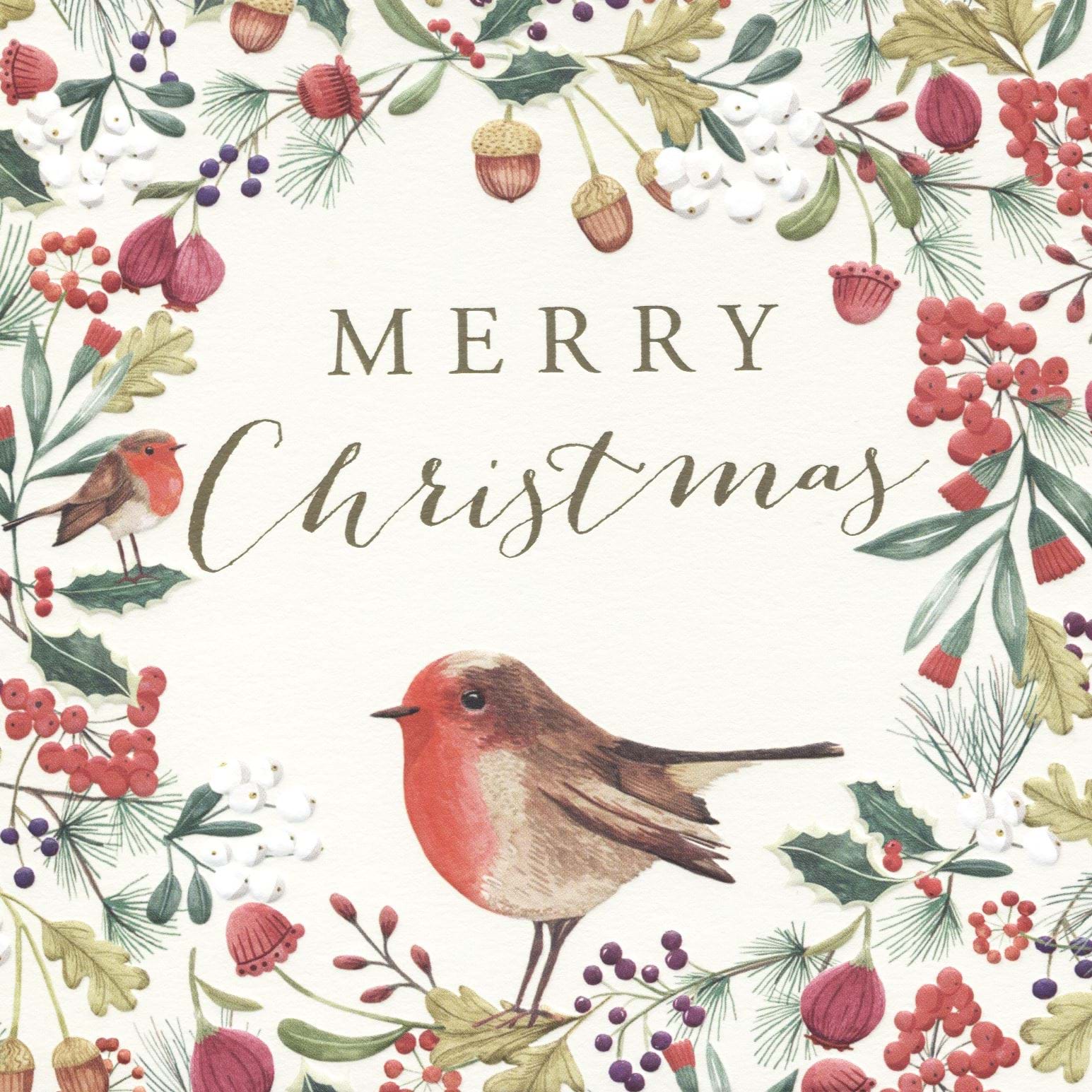 Robin Wreath Luxury Christmas Cards - Pack of 8