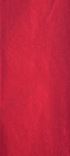 Red Christmas Tissue Paper - 4 Sheets