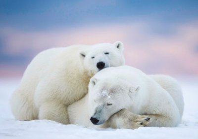Together Personalised Christmas Card