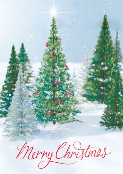 Merry Christmas Personalised Christmas Card