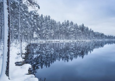 Peaceful Winter Personalised Christmas Card