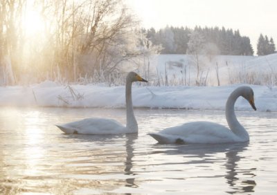 Winters Morning Personalised Christmas Card