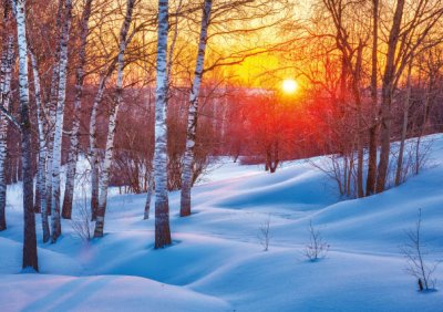 Winter Sunset Personalised Christmas Card