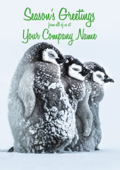 Icy Penguins Front Personalised Christmas Card