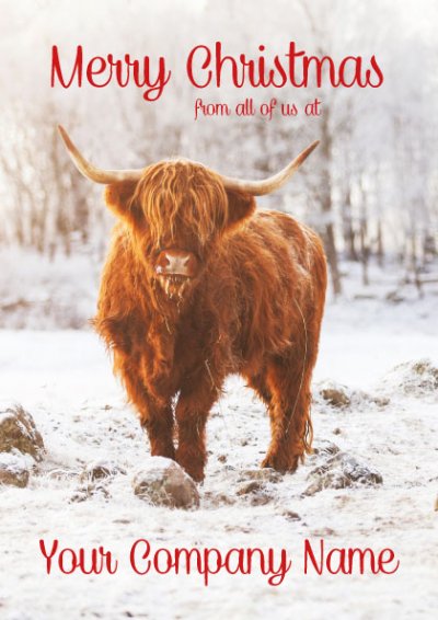Highland Cattle Personalised Christmas Card