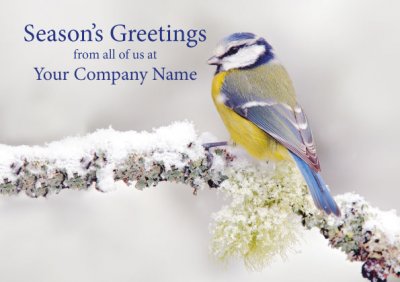 Blue Tit in Winter Personalised Christmas Card