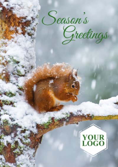 Squirrel Front Personalised Christmas Card