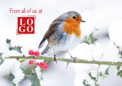 Robin Front Personalised Christmas Card
